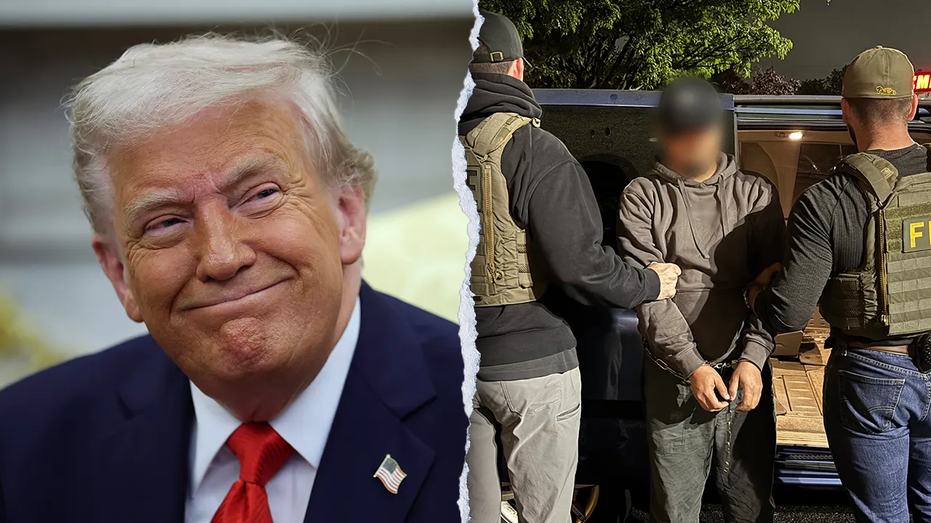 Trump directs ICE to expand deportation efforts in America's largest cities Internet InfoMedia trump directs ice to expand deportation efforts in americas largest cities