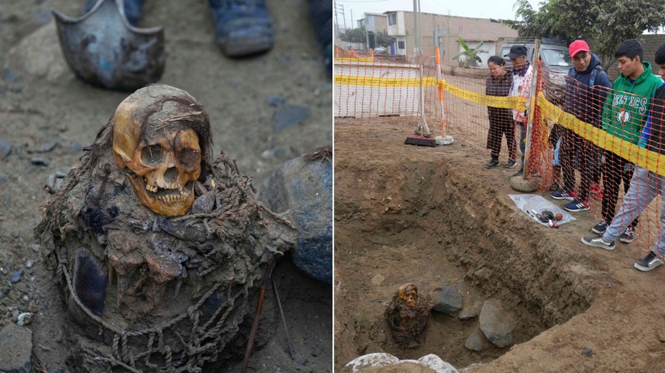 Internet InfoMedia utility workers digging trenches stumble upon 1000 year old mummy with intact hair