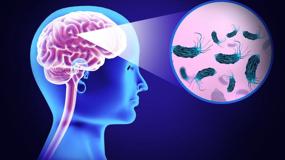 Internet InfoMedia woman dies of brain eating amoeba after using tap water in nasal rinse device