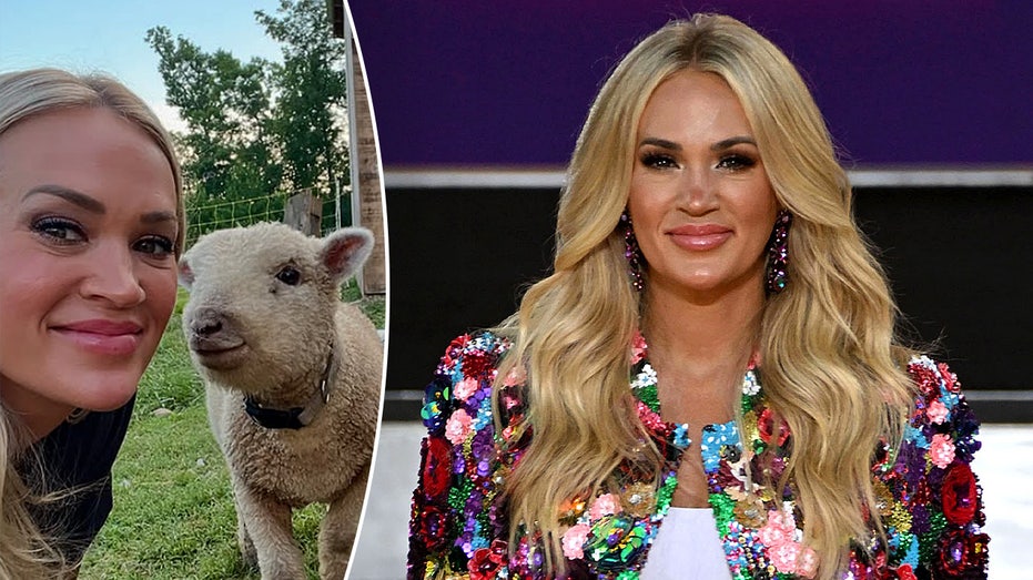 Carrie Underwood fully embraces traditional country living on her Tennessee farm Internet InfoMedia carrie underwood fully embraces traditional country living on her tennessee farm