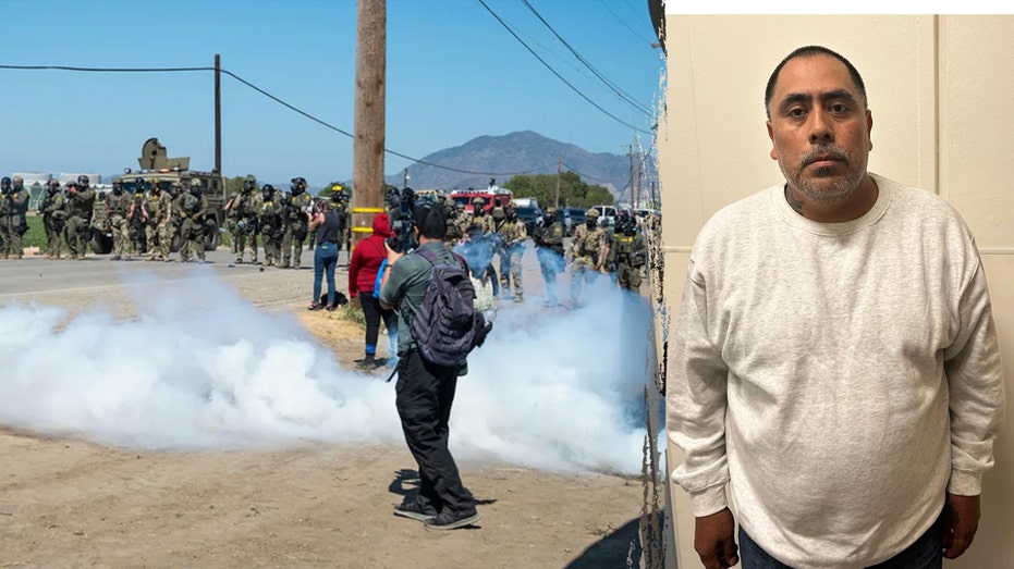 Child predator among more than 300 nabbed in cannabis farm ICE raid, largest of Trump's second term Internet InfoMedia child predator among more than 300 nabbed in cannabis farm ice raid largest of trumps second term