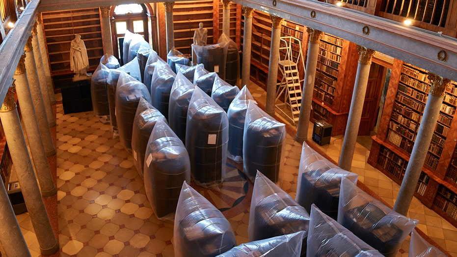Internet InfoMedia destructive bug infestation threatens historic 1000 year old book collection