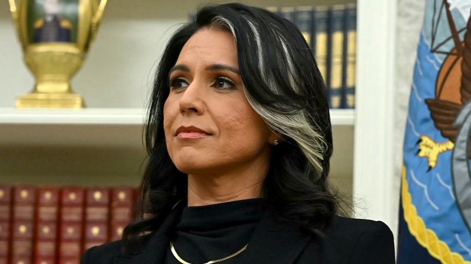 DOJ receives Gabbard's criminal referral on bombshell claims Obama admin 'manufactured' Russian collusion hoax Internet InfoMedia doj receives gabbards criminal referral on bombshell claims obama admin manufactured russian collusion