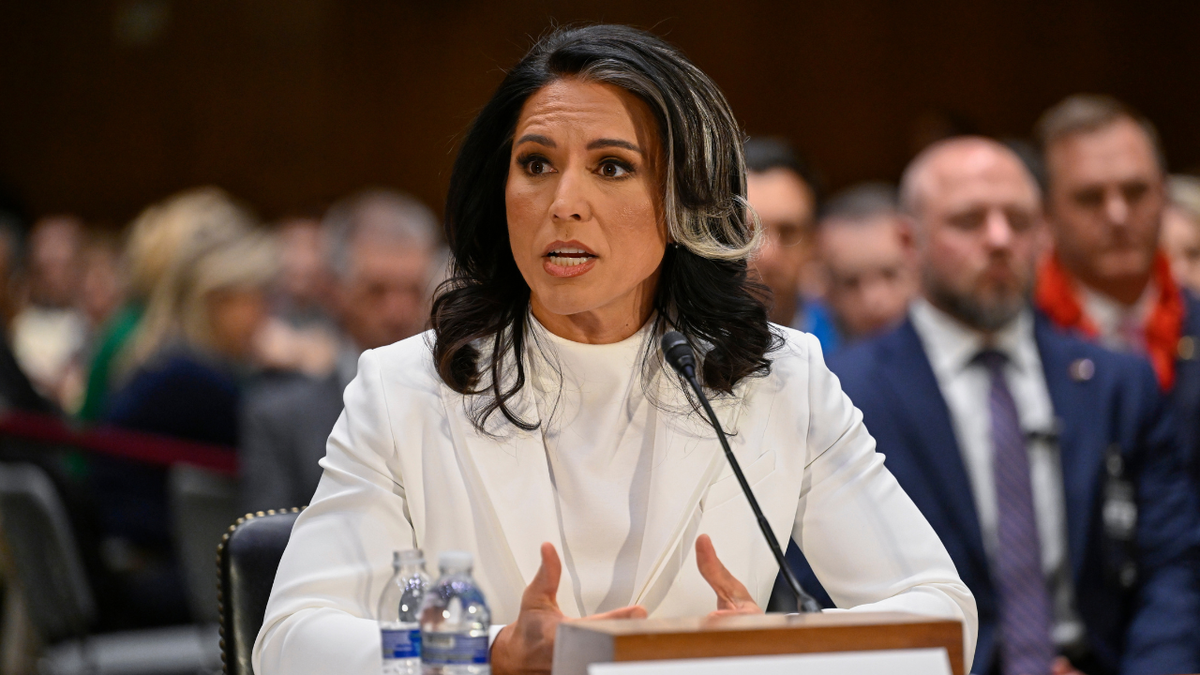 Internet InfoMedia gabbard leaving obama admin criminal implications to doj fbi in russia hoax contrived narrative