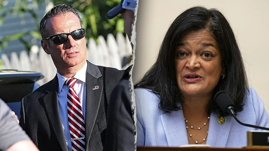 Internet InfoMedia ice director says progressive dem should apologize to voters after calling agency a terrorist force