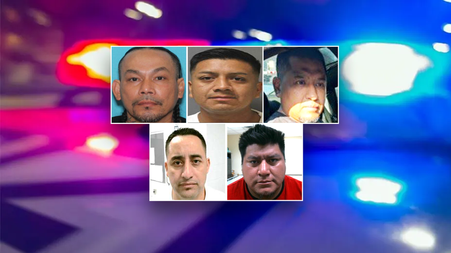 Internet InfoMedia illegal who conspired to bludgeon teen to death with baseball bat among latest ice roundups