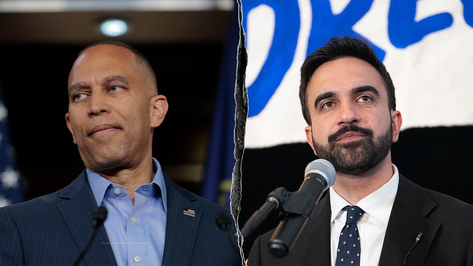 Jeffries sidesteps question about Mamdani identifying as Asian, African-American on college application Internet InfoMedia jeffries sidesteps question about mamdani identifying as asian african american on college application