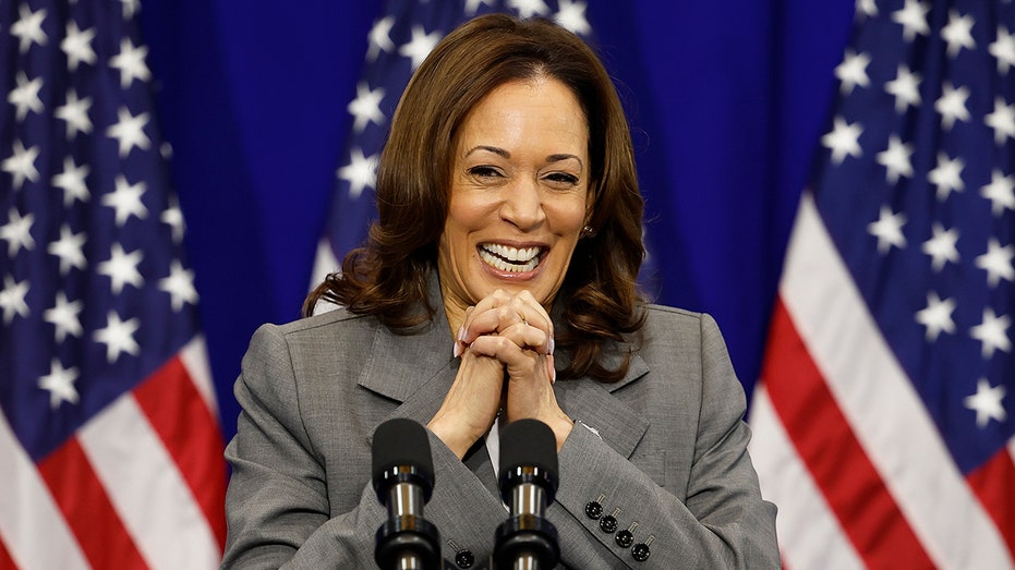 Kamala Harris mocked for post celebrating one-year anniversary of failed presidential campaign Internet InfoMedia kamala harris mocked for post celebrating one year anniversary of failed presidential campaign