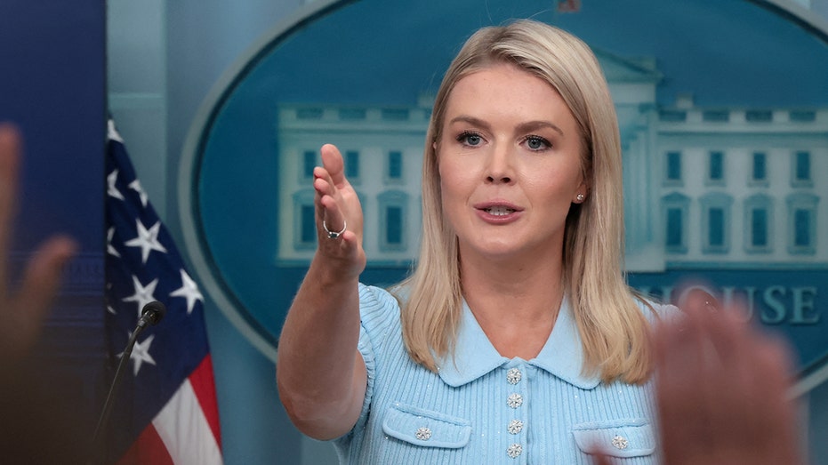 Internet InfoMedia karoline leavitt accuses cnn of encouraging violence against agents for reports on new ice tracking app