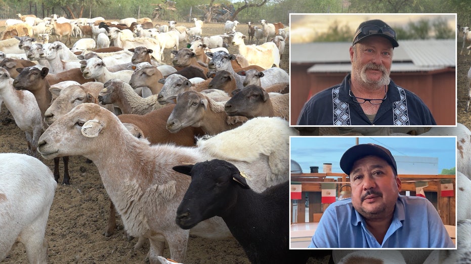 Trump's border crackdown prompts Arizona farmer to seek better agricultural labor solutions Internet InfoMedia trumps border crackdown prompts arizona farmer to seek better agricultural labor solutions