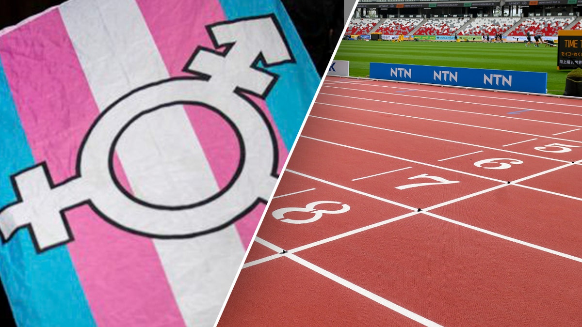 Internet InfoMedia another trans athlete sues school over being banned from womens sports in growing trend