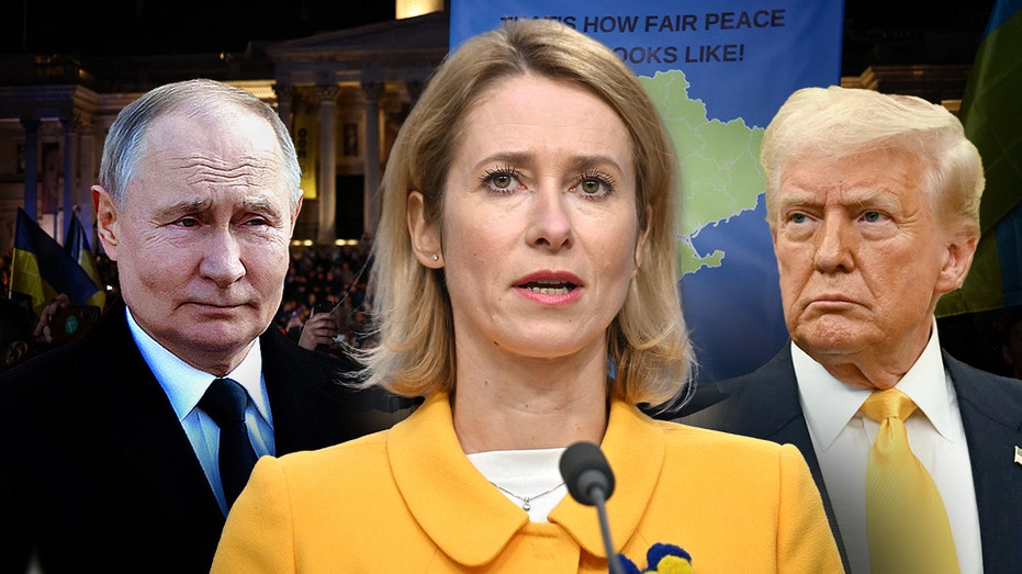 Internet InfoMedia eu hits back at trump zelenskyy comments no concessions in ukraine before putin ceasefire agreement