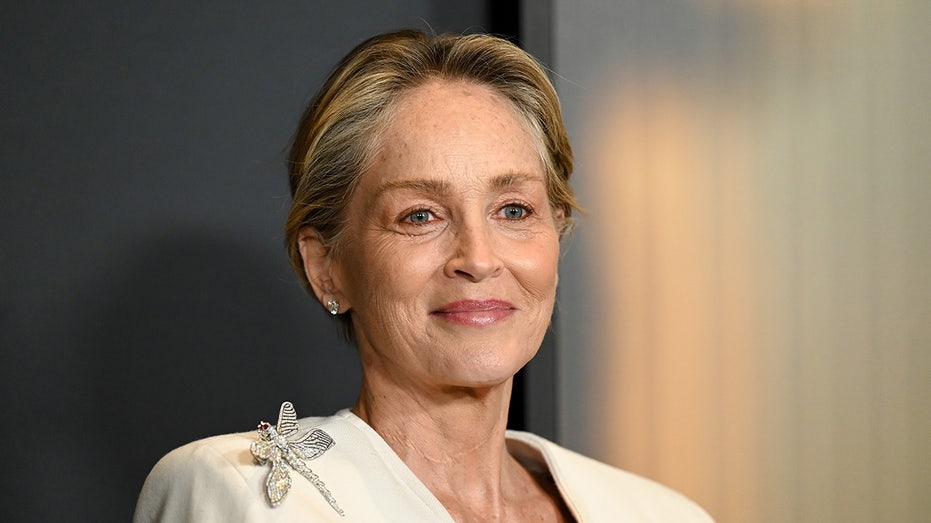 Internet InfoMedia sharon stone admits her most lucrative gig isnt acting after losing 18m post health scare