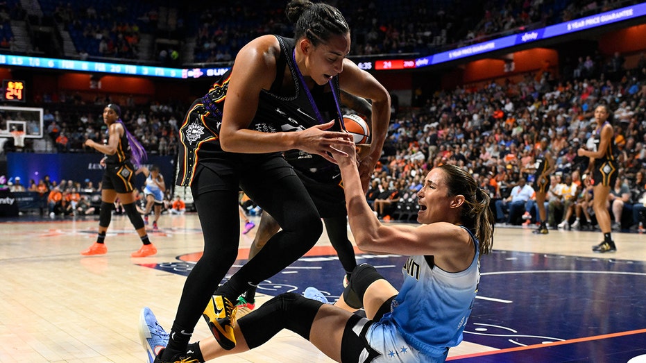 Internet InfoMedia sky sun players get into intense tussle during wnba game leads to multiple ejections