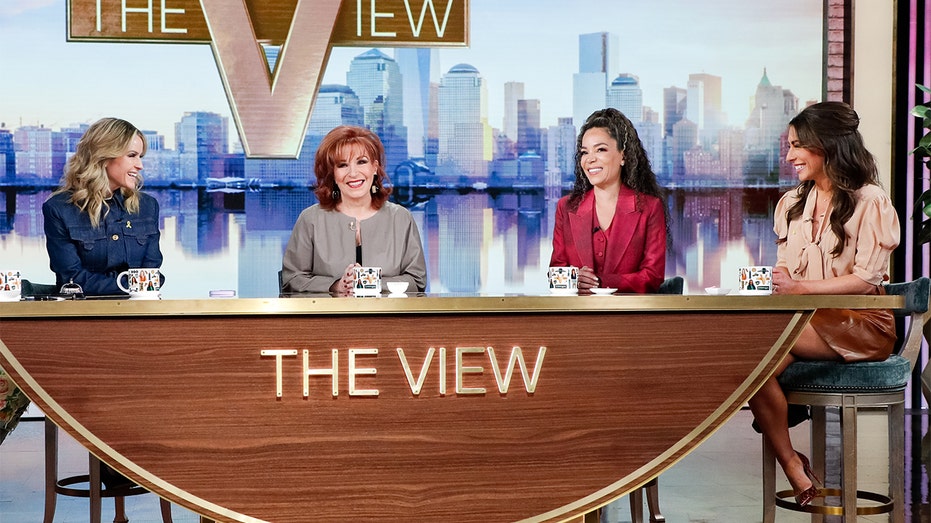 'The View' co-host describes Harris interview as 'microcosm of everything that's wrong' with Democratic Party Internet InfoMedia the view co host describes harris interview as microcosm of everything thats wrong with democratic party