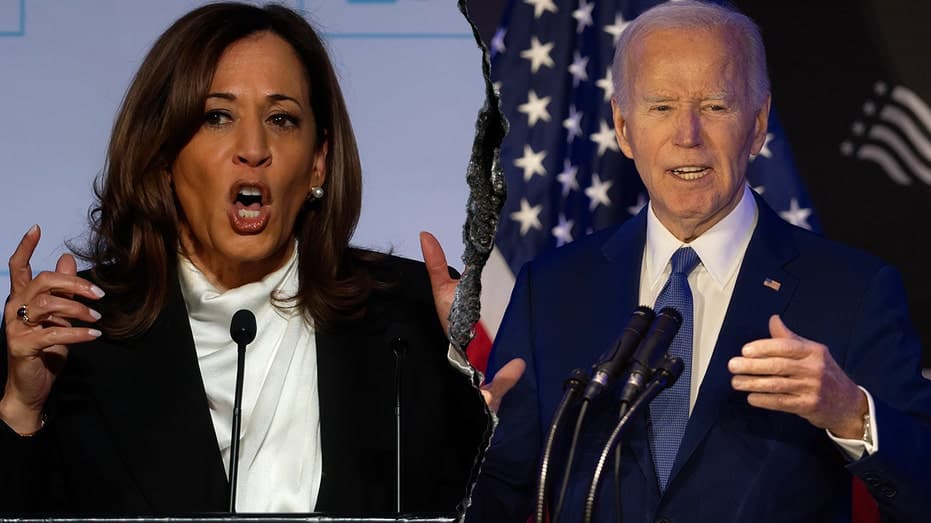 Internet InfoMedia kamala harris breaks silence on biden dropout admits she has regrets about her handling of situation