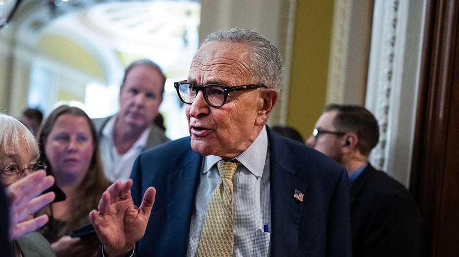 Internet InfoMedia senate republicans brand looming crisis a schumer shutdown as democrats dig in