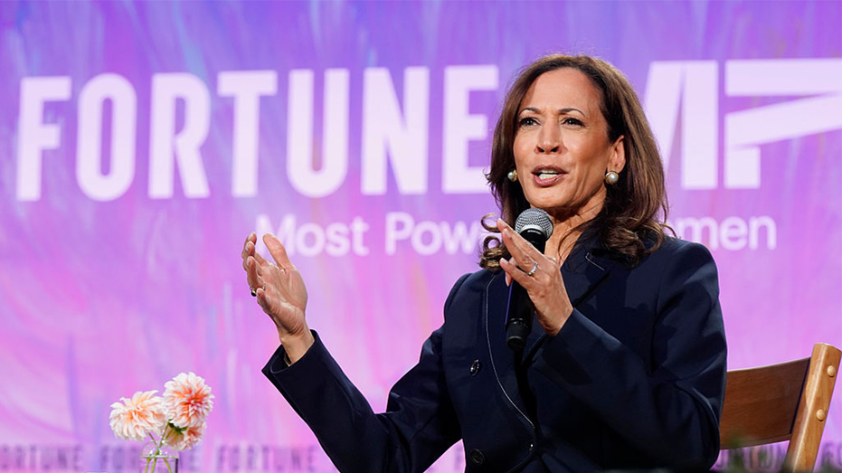 Internet InfoMedia kamala harris says biden made big mistake by not inviting musk to ev event in 2021