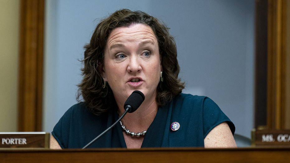 MSNBC panel uses Katie Porter backlash to blast 'double standard' for women in politics Internet InfoMedia msnbc panel uses katie porter backlash to blast double standard for women in politics