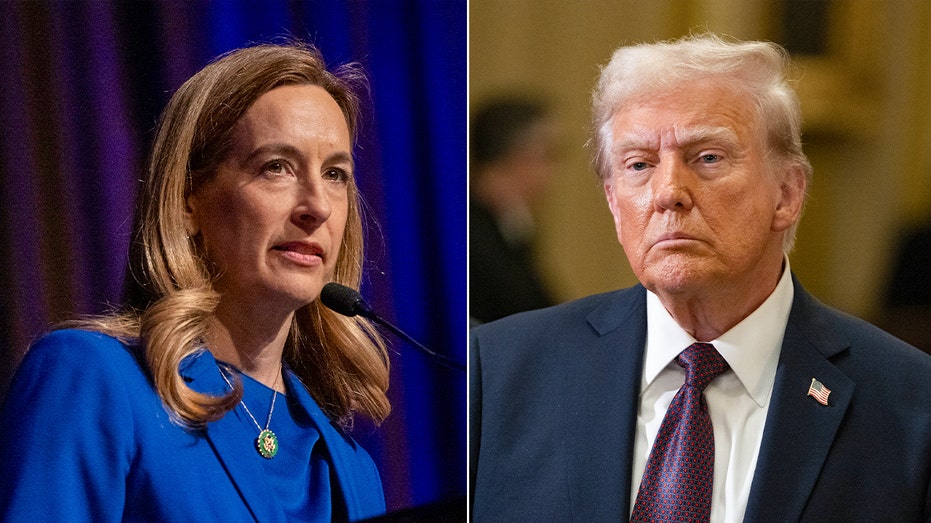 New Jersey Democratic governor hopeful attends 'No Kings' protest, vows to fight Trump 'tooth and nail' Internet InfoMedia new jersey democratic governor hopeful attends no kings protest vows to fight trump tooth and nail