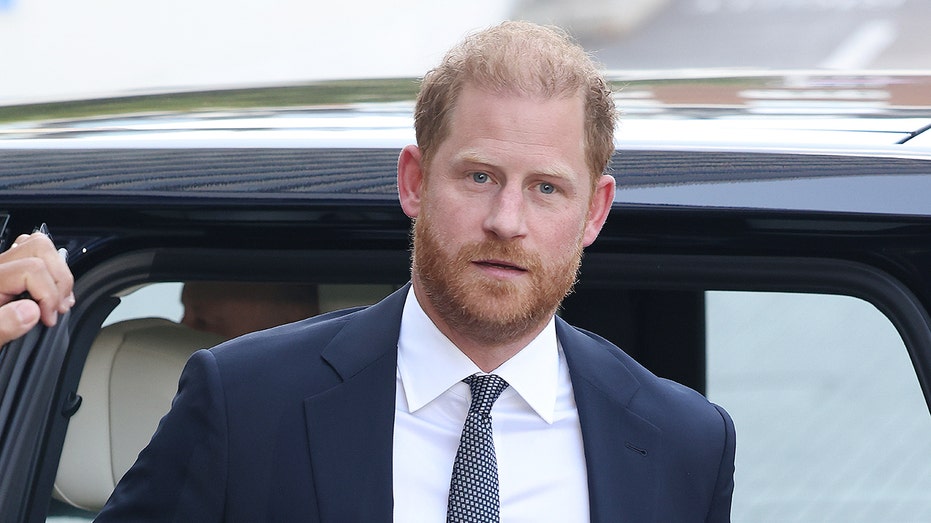 Internet InfoMedia prince harry stalker got within feet of duke during charity events on recent u k trip