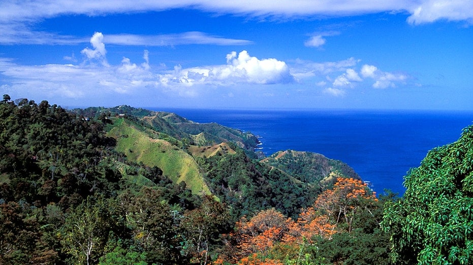 Internet InfoMedia american tourist found stabbed to death in tobago