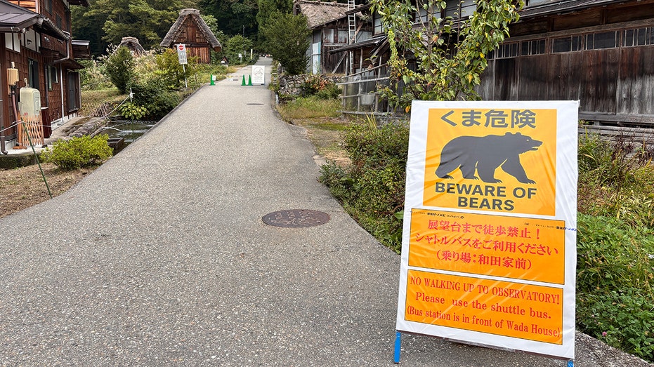 Internet InfoMedia state department warns americans in japan as deadly bear attacks kill 13 people since april be diligent